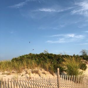 Meet your Posher, Alexa